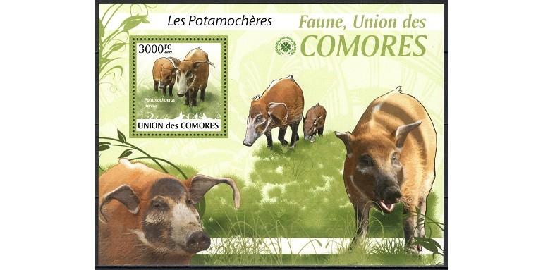 COMORES 2009 - FAUNA - BLOC NESTAMPILAT - MNH / fauna84